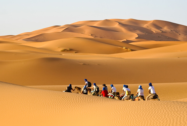 Liwa-desert-tour