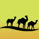 OVER-NIGHT-DESERT-SAFARI